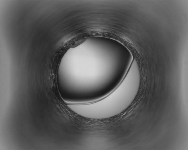 X0000088390822200705220759