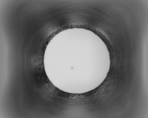 X0000088390824200705220759
