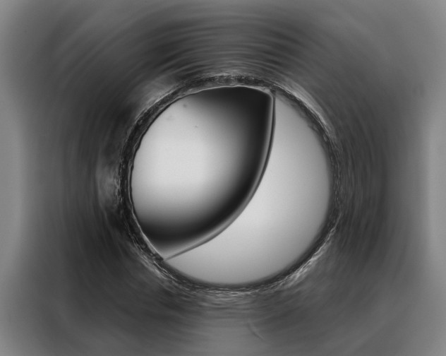 X0000088390826200705220759