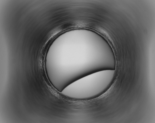 X0000088390827200705220759