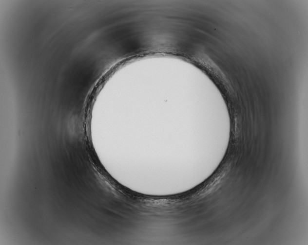 X0000088390828200705220759