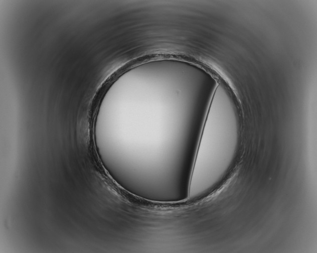 X0000088390829200705220759