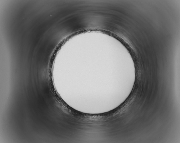 X0000088390832200705220759