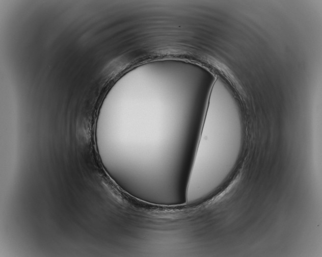 X0000088390833200705220759