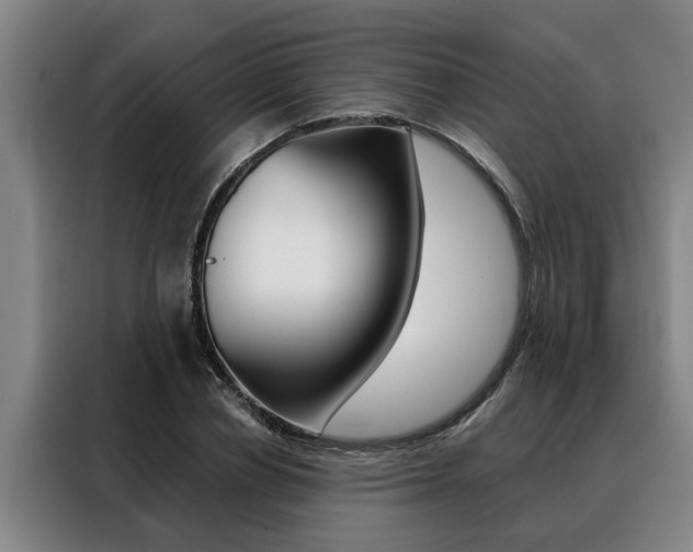 X0000088390834200705220759