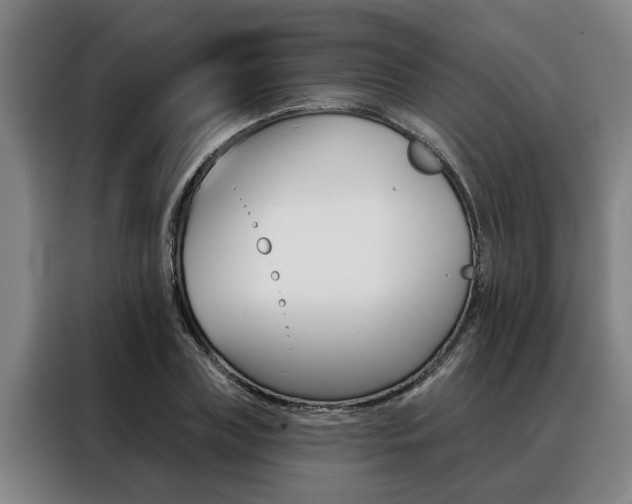 X0000088390835200705220759