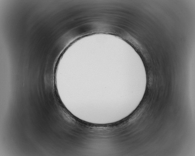 X0000088390836200705220759