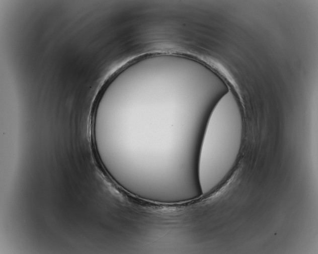 X0000088390839200705220759