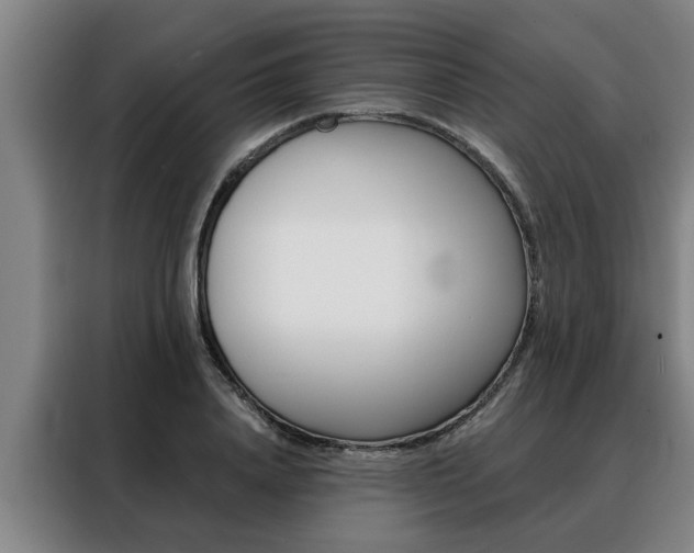X0000088390840200705220759