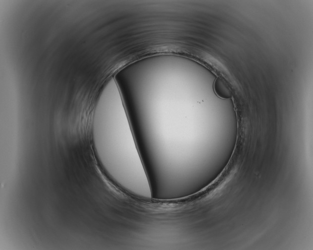 X0000088390841200705220759