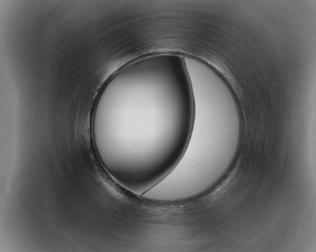 X0000088390842200705220759