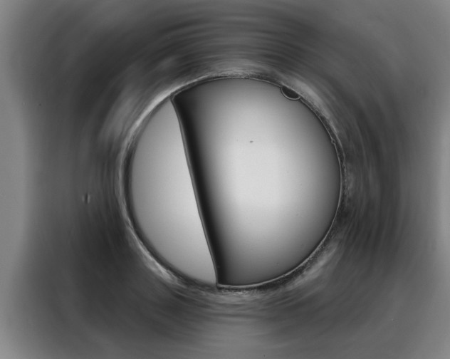 X0000088390843200705220759