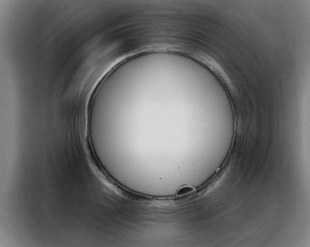 X0000088390844200705220759