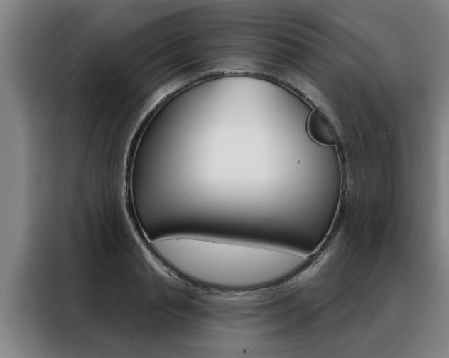 X0000088390845200705220759