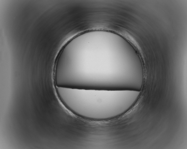 X0000088390847200705220759