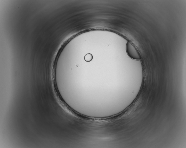 X0000088390848200705220759