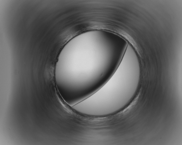 X0000088390849200705220759