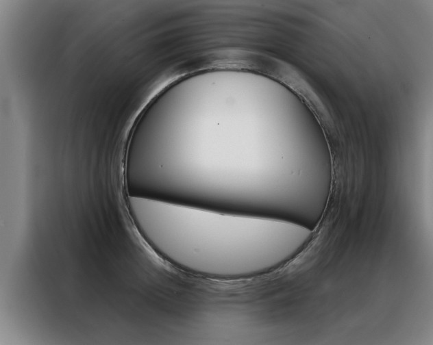 X0000088390852200705220759