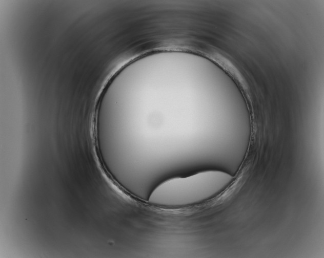 X0000088390855200705220759