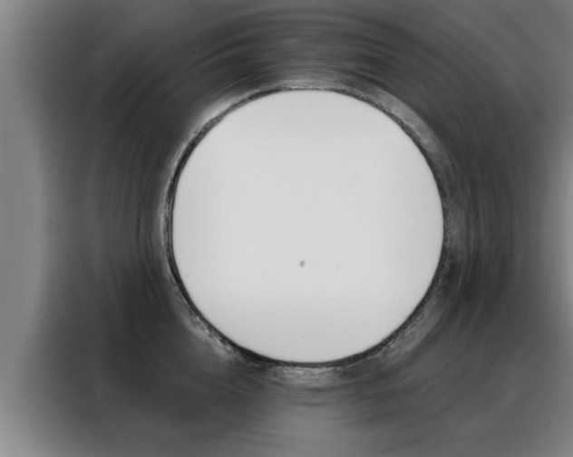X0000088390856200705220759