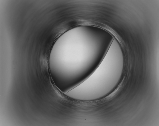 X0000088390857200705220759