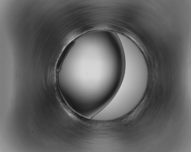 X0000088390858200705220759