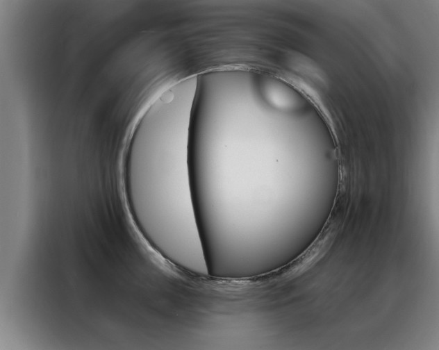 X0000088390859200705220759