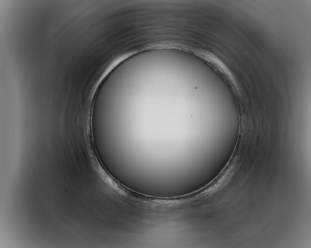 X0000088390860200705220759