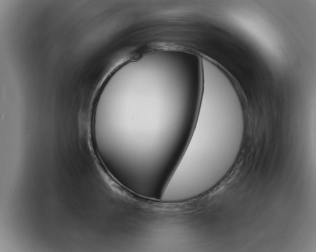 X0000088390861200705220759