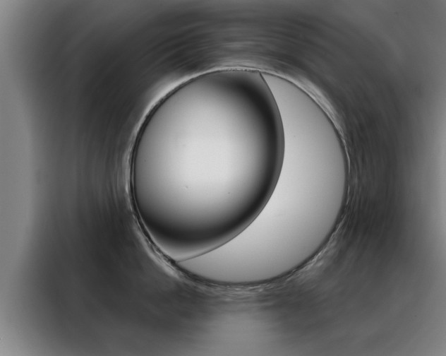 X0000088390862200705220800