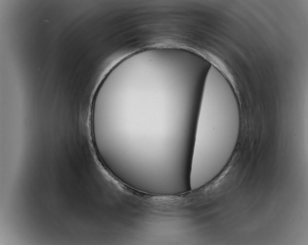 X0000088390863200705220800
