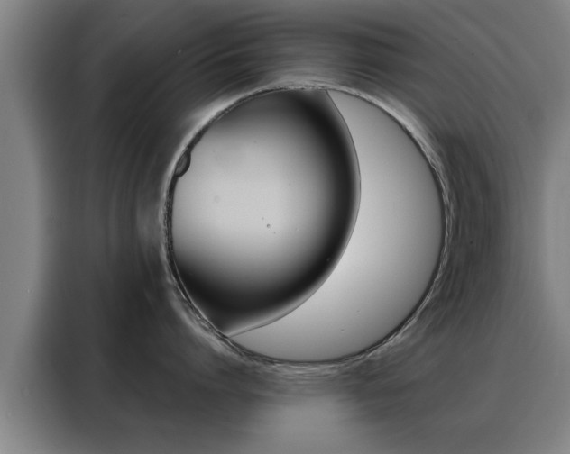 X0000088390864200705220800