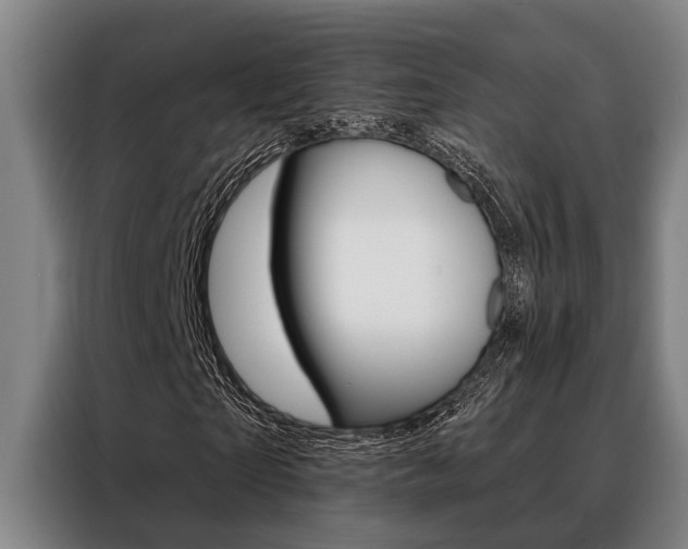 X0000088390865200705220759