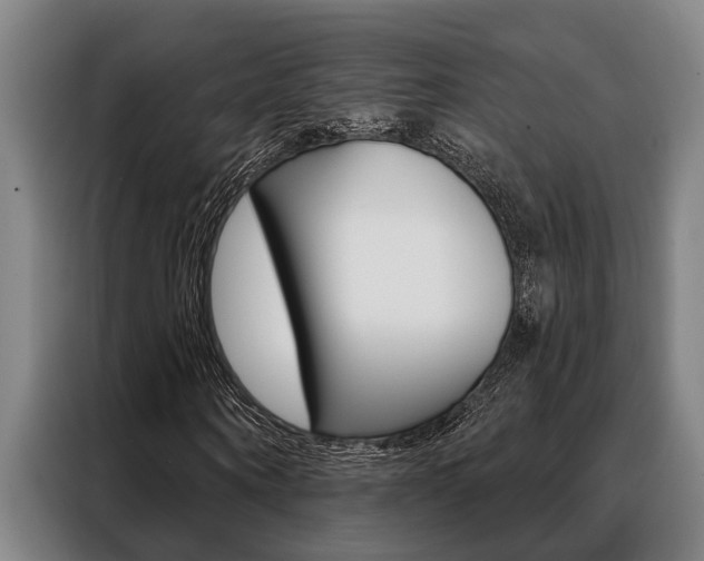 X0000088390866200705220759