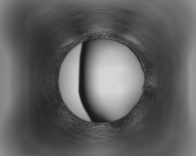 X0000088390869200705220759
