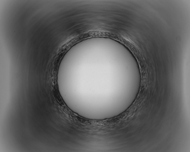 X0000088390870200705220759