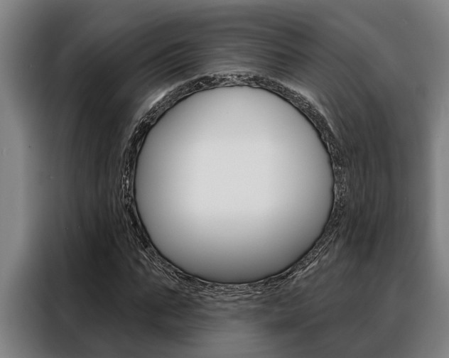 X0000088390871200705220759