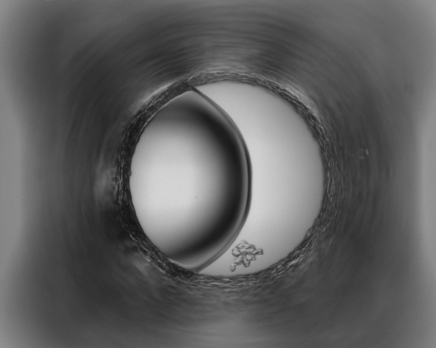 X0000088390872200705220759