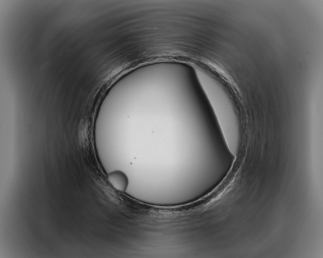 X0000088390873200705220759