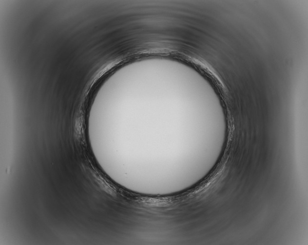 X0000088390874200705220759