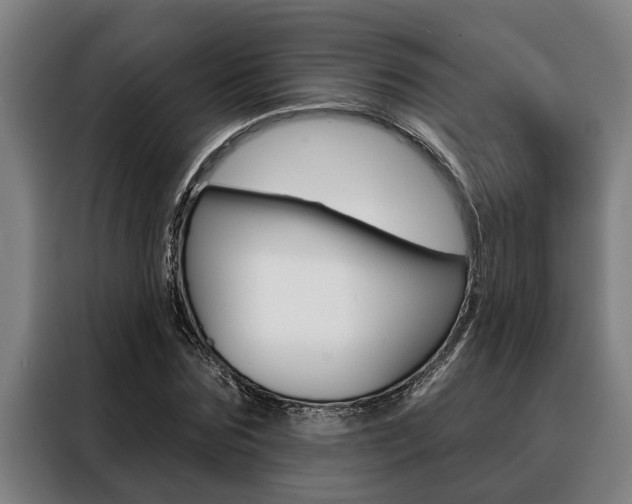X0000088390875200705220759