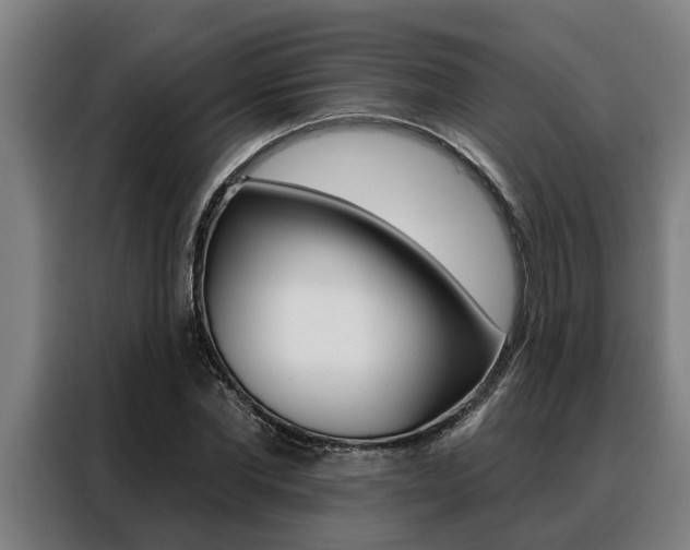 X0000088390877200705220759