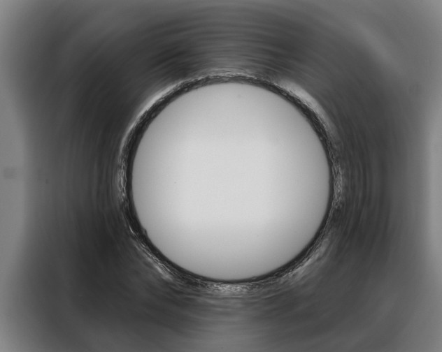 X0000088390878200705220759