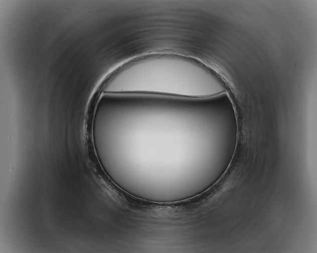 X0000088390880200705220759