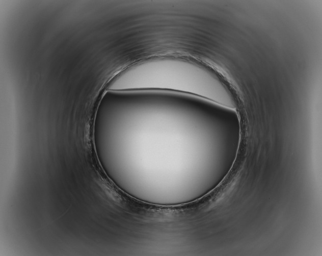 X0000088390881200705220759