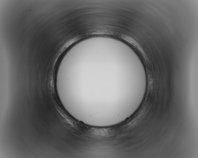 X0000088390882200705220759
