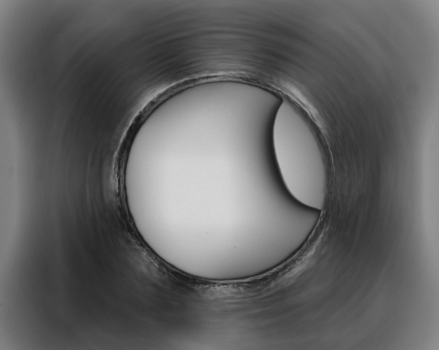 X0000088390883200705220759