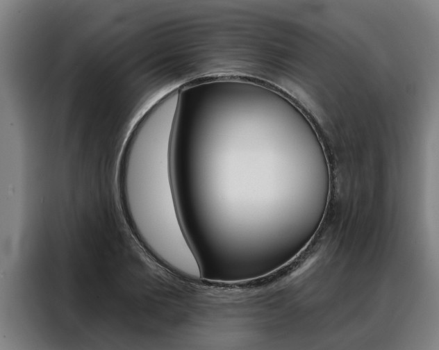 X0000088390885200705220759