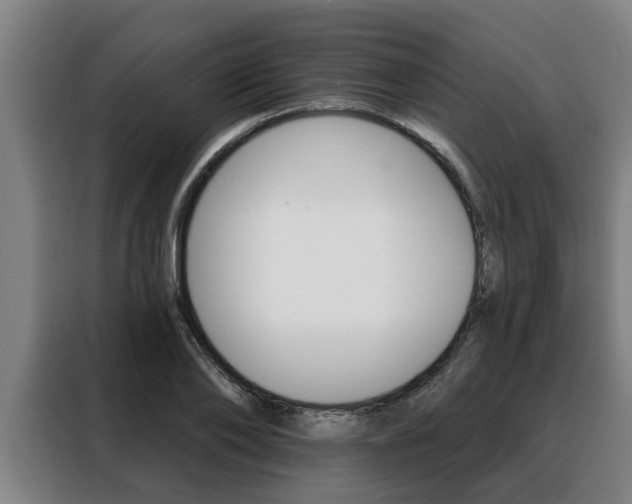 X0000088390886200705220759