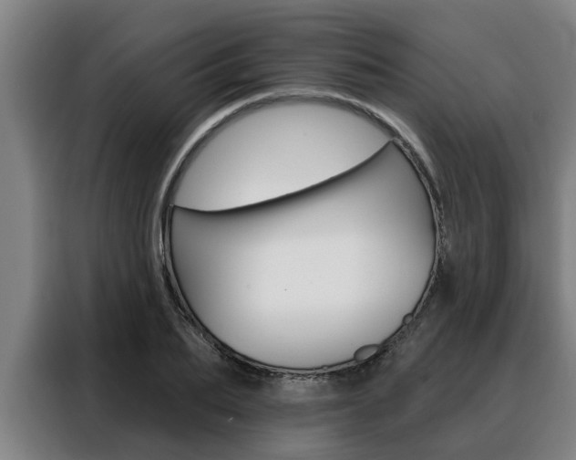 X0000088390887200705220759